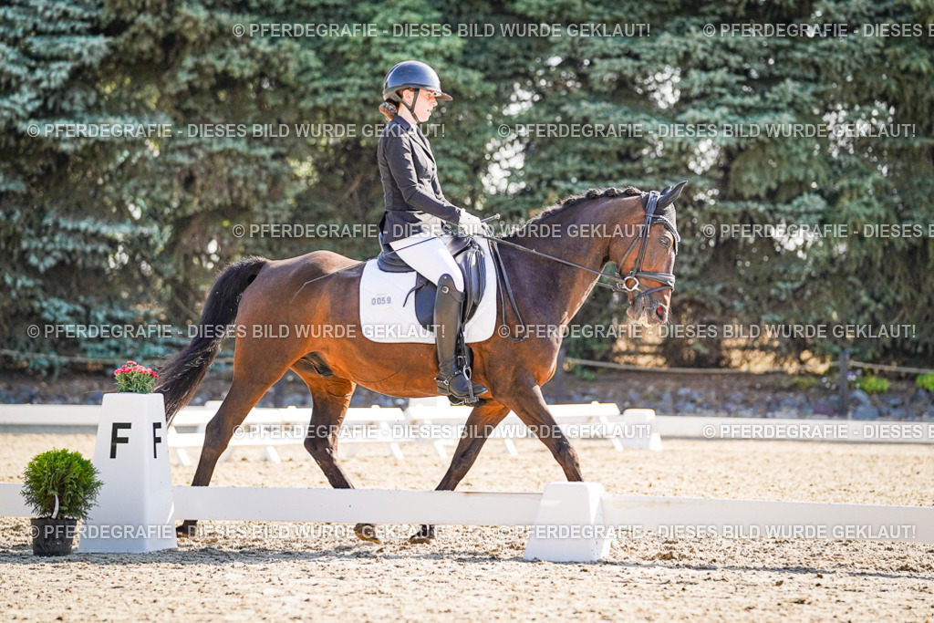 DSC09982 | Pferdegrafie