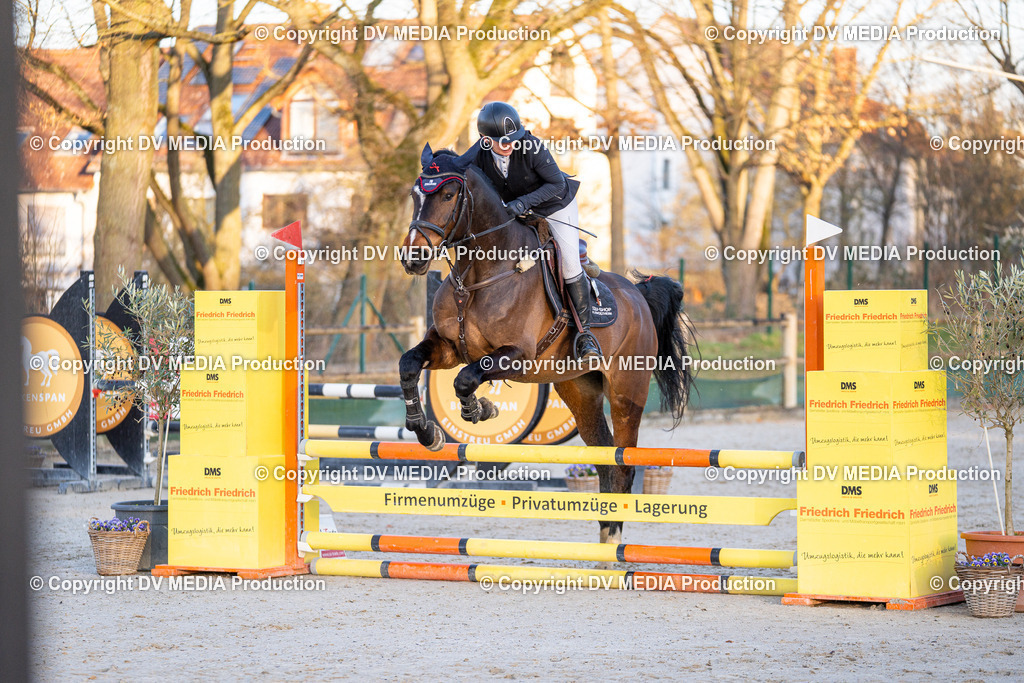 DSC-273 | dv-media-shop - Realisiert mit Pictrs.com