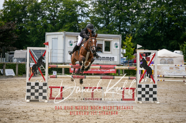 IMG_5801 | Turniersportfotografie; Pferdefotografie; Dressurfotografie