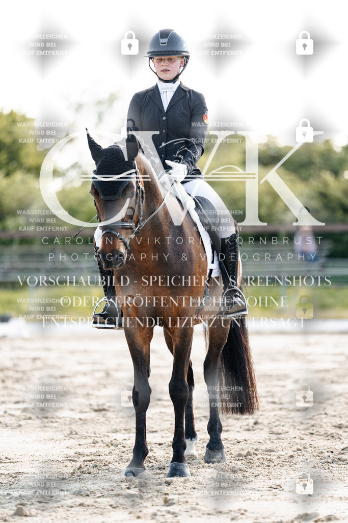 CK909475 | Turnierfotografie Pferdefotografie Trier Rheinland-Pfalz Pferdesport Reitsport Tierfotografie Sportfotografie Pferdevideo Pferdevideografie Equestrianvideography equestrianphotography  - Realisiert mit Pictrs.com