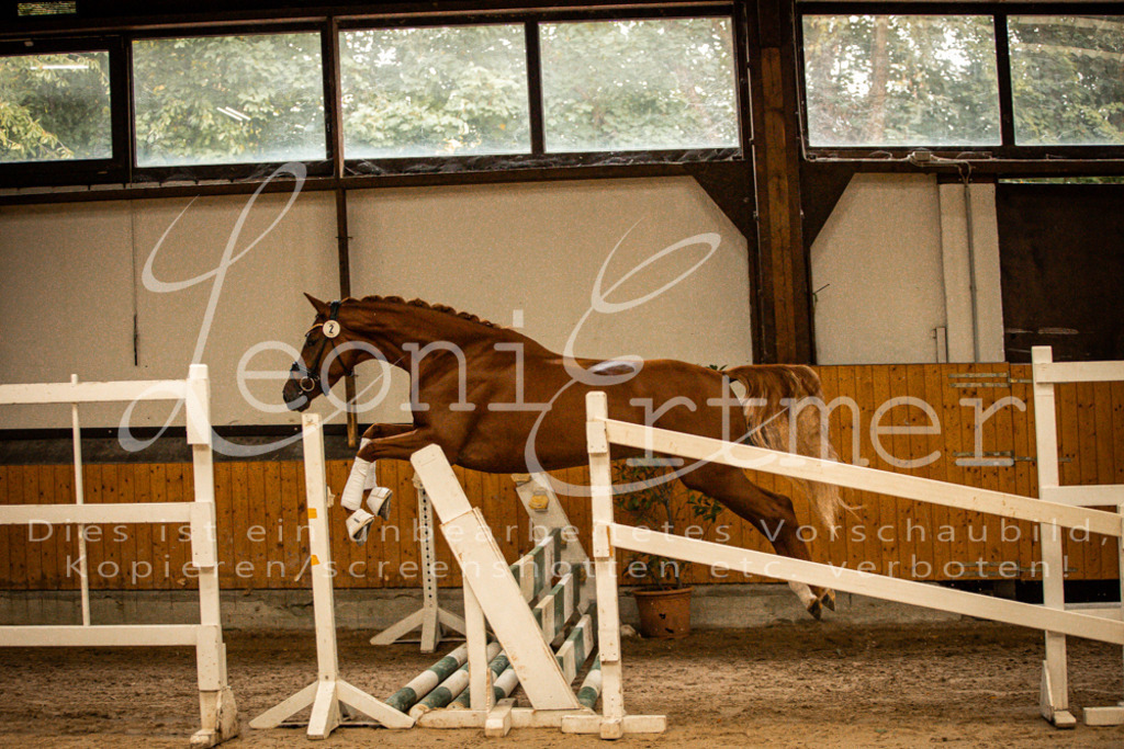 1FS_L00037 | Leoni Ertmer Photography - Realisiert mit Pictrs.com