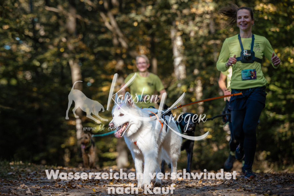 1121_ZZ92091 | kk-dogfotos