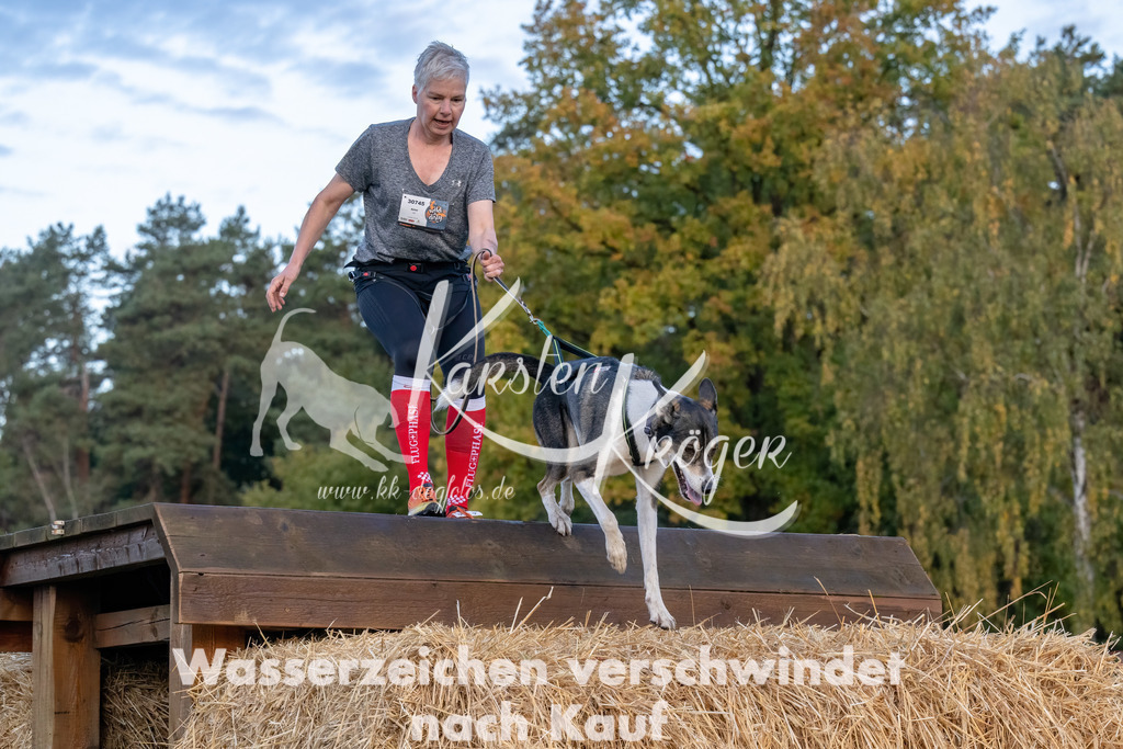 0811_ZZ94652-Bearbeitet | kk-dogfotos