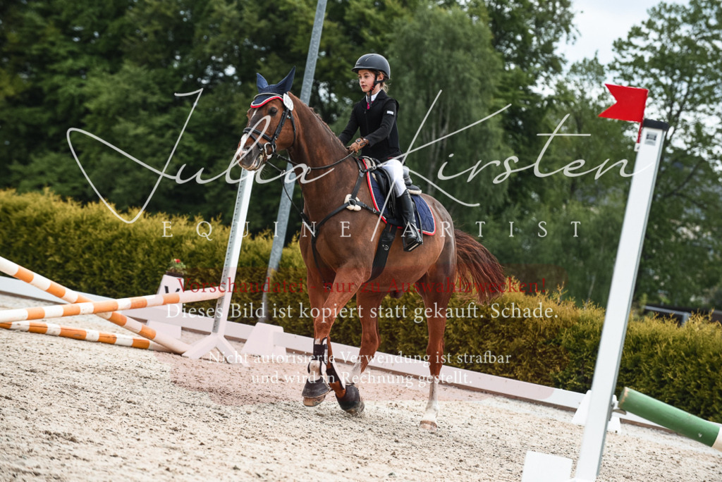 20230518_JK-Röhrsdorf-10-448 | Pferde- und Turnierfotografie in Westsachsen. Pferdeportraits, Auftragszeichnungen und intuitive Kunst.