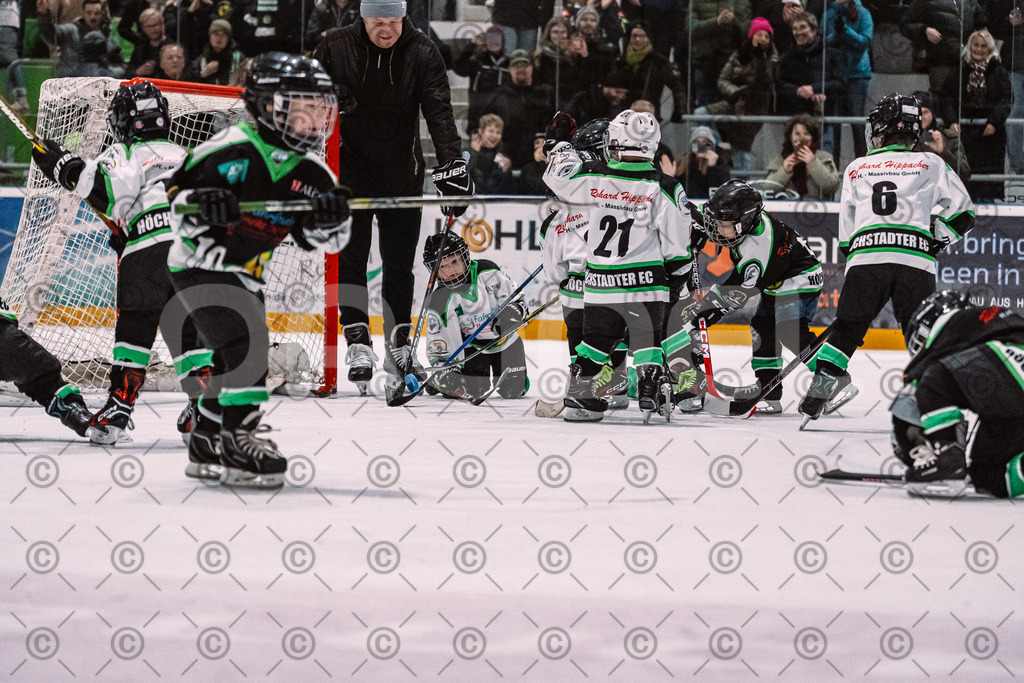 Alligators_vs_Erding_01_02_2026-25 | Höchstadt Alligators Fotogalerie: Eishockey-Action aus Franken. Professionelle Spielfotos, Portraits & Stadionbilder zum Download. Jetzt entdecken! - Realisiert mit Pictrs.com
