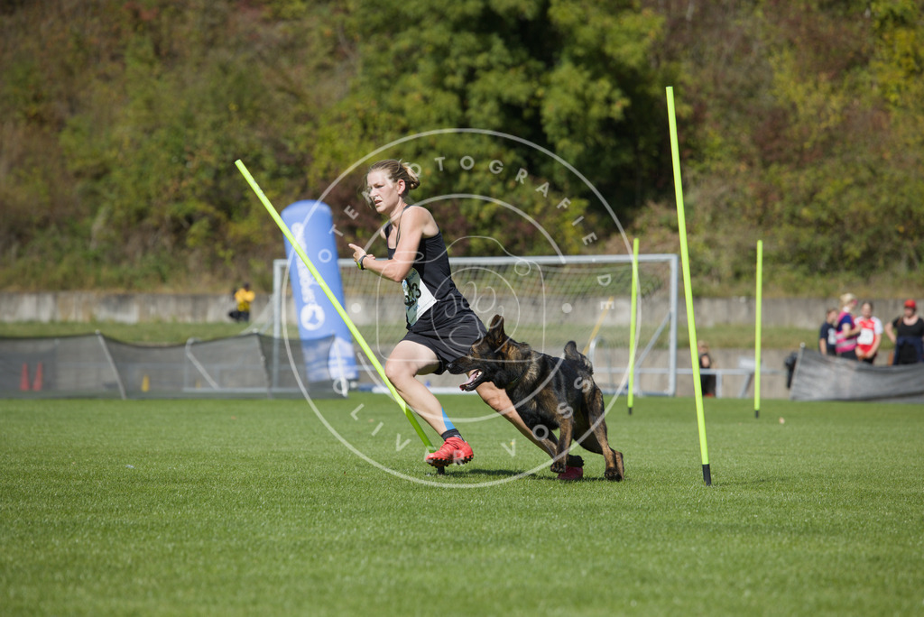 0L8A5982 | Hundefotografie, Tierfotograf, Pfotenfotografie, Fotoshooting Hund, Hunde Portrait, Hundesport, Hundeportraits, Heideshooting, Hunde, Sportfotograf, Hundefotograf, Turnierhundsport, THS,  - Realisiert mit Pictrs.com