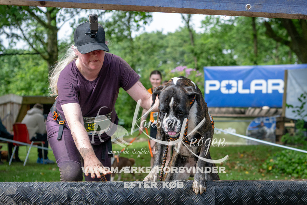 1032_ZZ91186 | kk-dogfotos