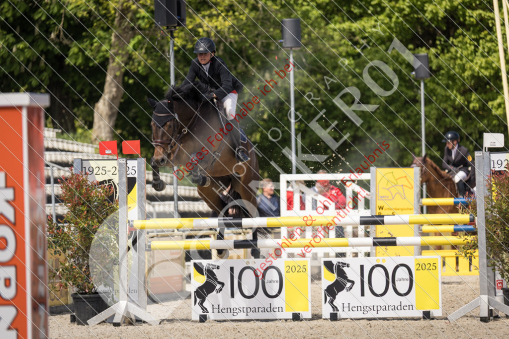 IMG_4950 | Sport-, Event- und Tierfotos in Profiqualität. Einfach auswählen, bestellen und herunterladen. Dein Moment – perfekt festgehalten.