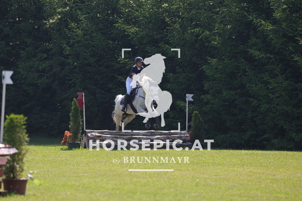 0P6A7627 | Willkommen bei Brunnmayr - Design & Fotografie – Ihrem Spezialisten für Reitturniere und Pferdeveranstaltungen in Oberösterreich, Salzburg und Bayern! Seit über 17 Jahren sind wir leidenschaftlich dabei.