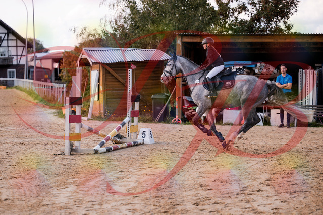 2026_10_03_Siefer-Hof_145129_Z81_30325109 | Professionelle Reitsport-, Turnier- und Eventfotografie von Robert Broda. Galerien mit ausgewählten und bearbeiteten Bildern direkt online ansehen und bestellen.