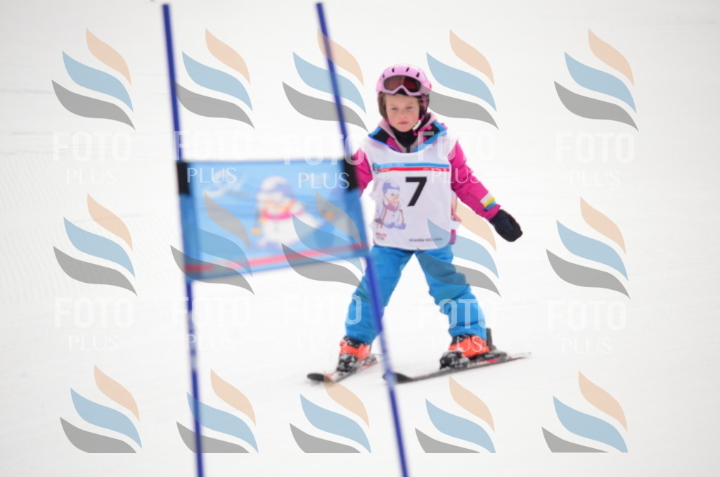 B9153 | holidayphoto