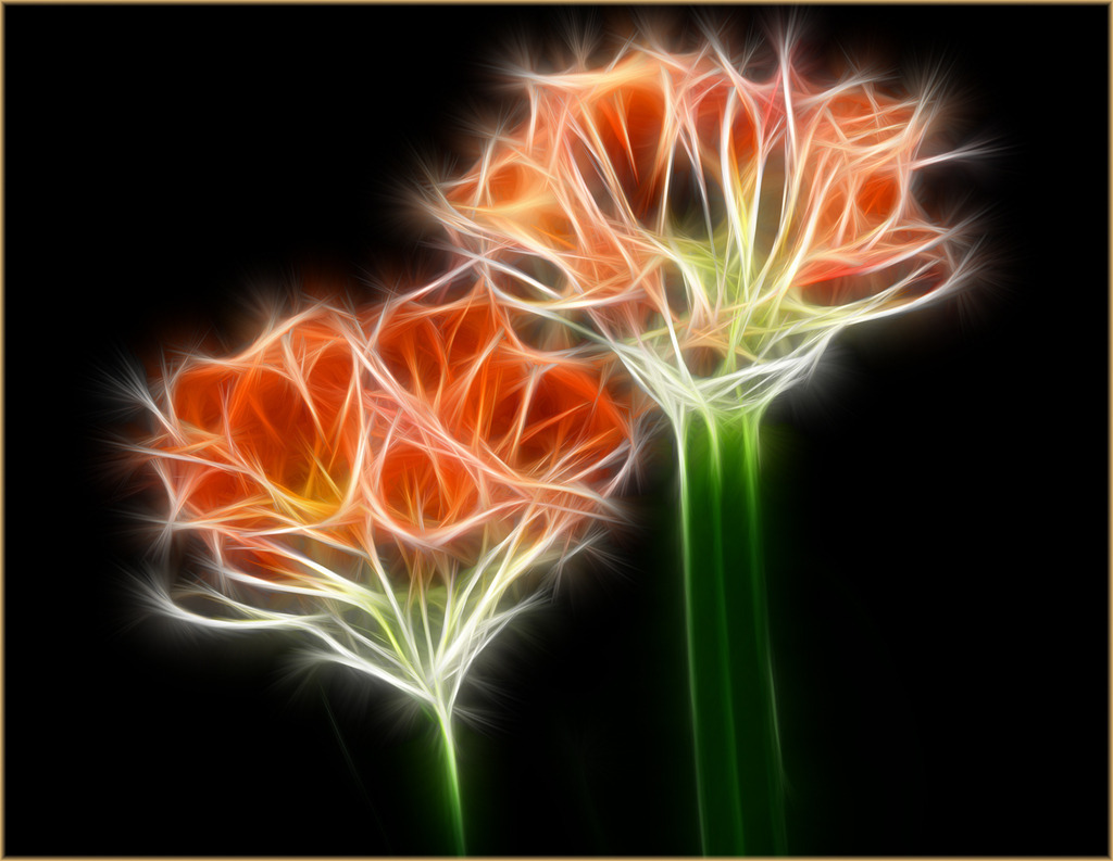 2009_03_02 Blume v Versionen | bridgeman - Realisiert mit Pictrs.com