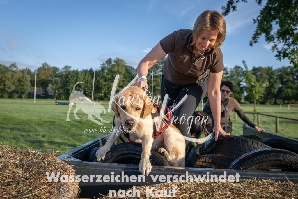 0817_ZZ90858 | kk-dogfotos