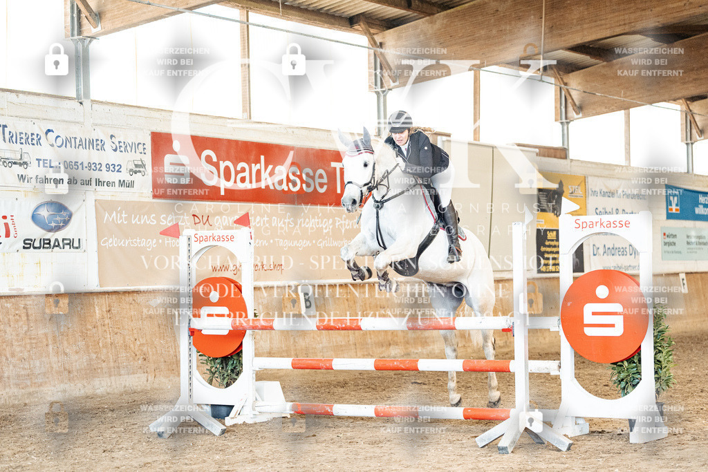 CK905181 | Turnierfotografie Pferdefotografie Trier Rheinland-Pfalz Pferdesport Reitsport Tierfotografie Sportfotografie Pferdevideo Pferdevideografie Equestrianvideography equestrianphotography  - Realized with Pictrs.com