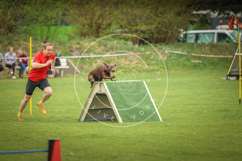 Pfotenfotografie_0L8A1924 | Hundefotografie, Tierfotograf, Pfotenfotografie, Fotoshooting Hund, Hunde Portrait, Hundesport, Hundeportraits, Heideshooting, Hunde, Sportfotograf, Hundefotograf, Turnierhundsport, THS,  - Realisiert mit Pictrs.com
