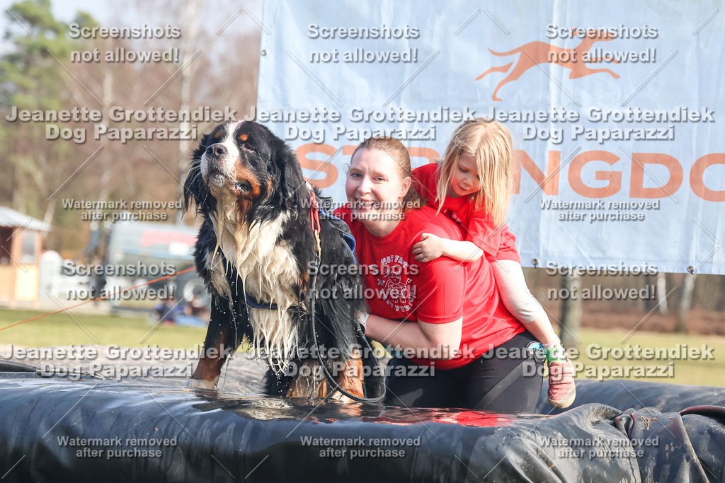 Dog Paparazzi - Strongdog North Mrz26-2248 | Dog Paparazzi Jeanette Grottendiek Fotografie & Videografie - Realisiert mit Pictrs.com
