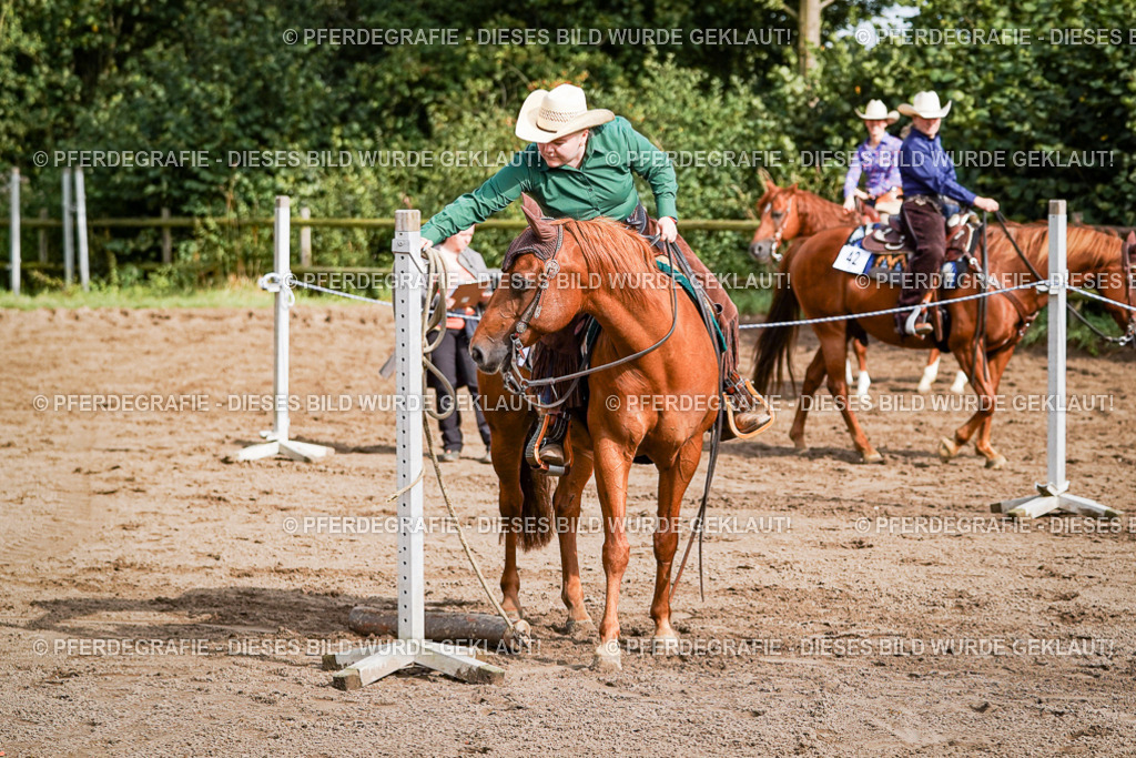 DSC00223 | Pferdegrafie