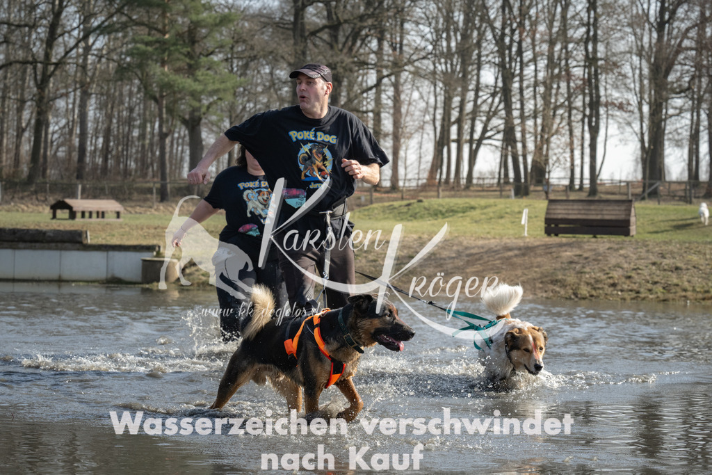 1301_ZZ93897 | kk-dogfotos