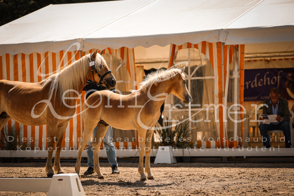 06.DoH00012 | Leoni Ertmer Photography - Realisiert mit Pictrs.com