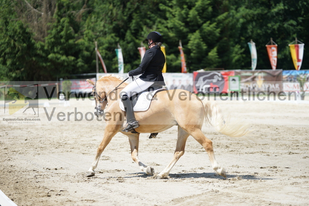 DSC03267 | equestrian-live-com