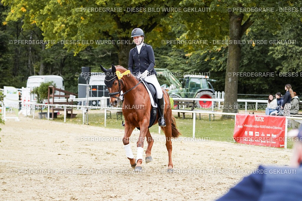 DSC02456 | Pferdegrafie