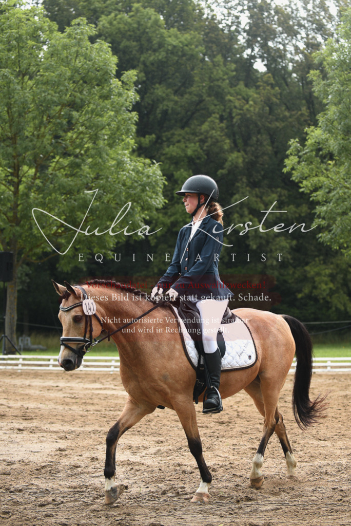 DSC_0072 | Pferde- und Turnierfotografie in Westsachsen. Pferdeportraits, Auftragszeichnungen und intuitive Kunst.