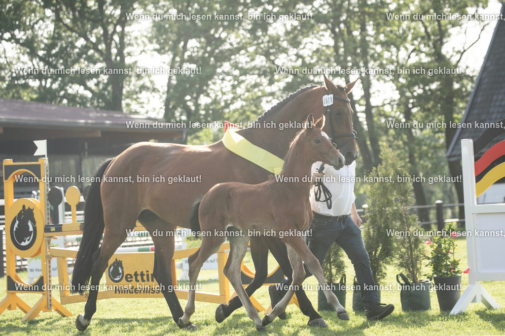 598A7161 | photographylinaismer - Realisiert mit Pictrs.com