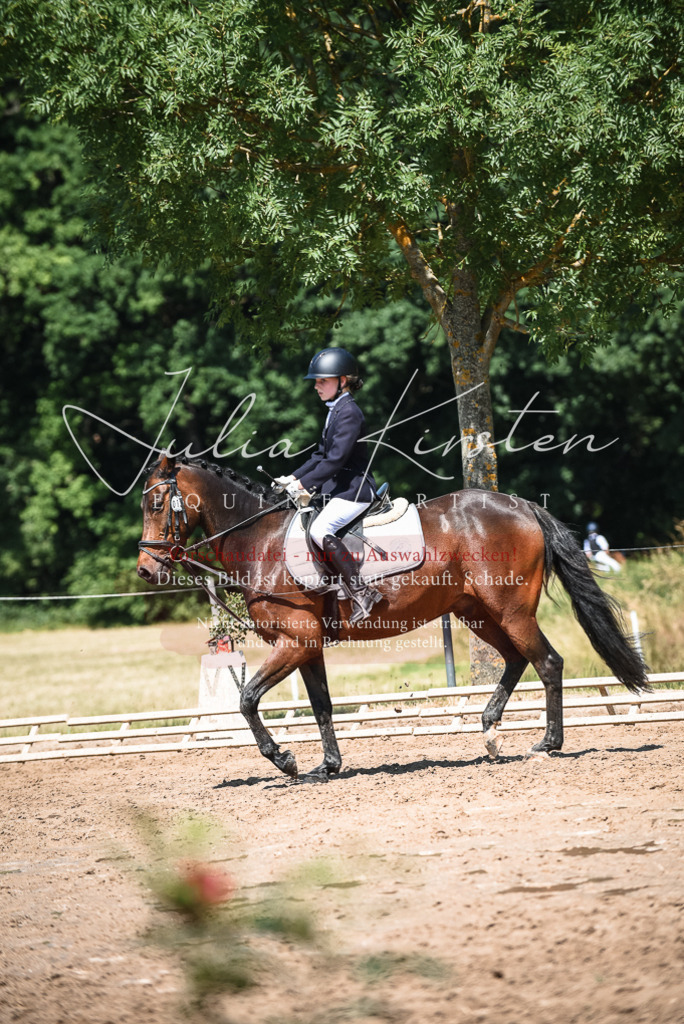 DSC_3310 | Pferde- und Turnierfotografie in Westsachsen. Pferdeportraits, Auftragszeichnungen und intuitive Kunst.