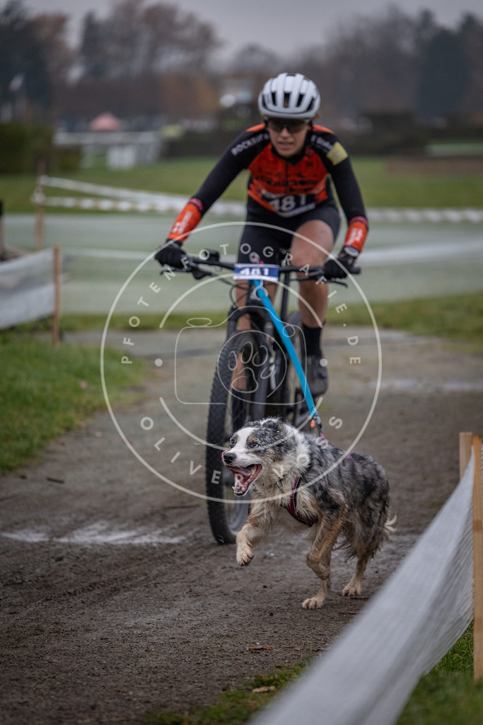 CaniXpix_0L8A1726 | Hundefotografie, Tierfotograf, Pfotenfotografie, Fotoshooting Hund, Hunde Portrait, Hundesport, Hundeportraits, Heideshooting, Hunde, Sportfotograf, Hundefotograf, Turnierhundsport, THS,  - Realisiert mit Pictrs.com