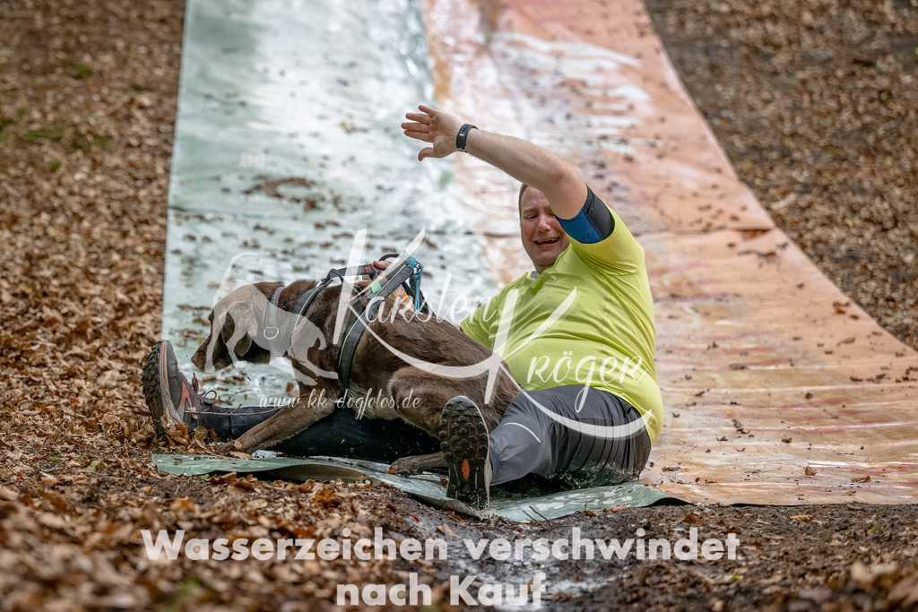 1112_ZZ90234-Bearbeitet | kk-dogfotos