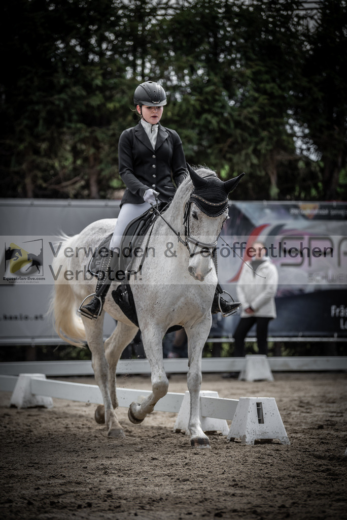 DSC_9754 | equestrian-live-com