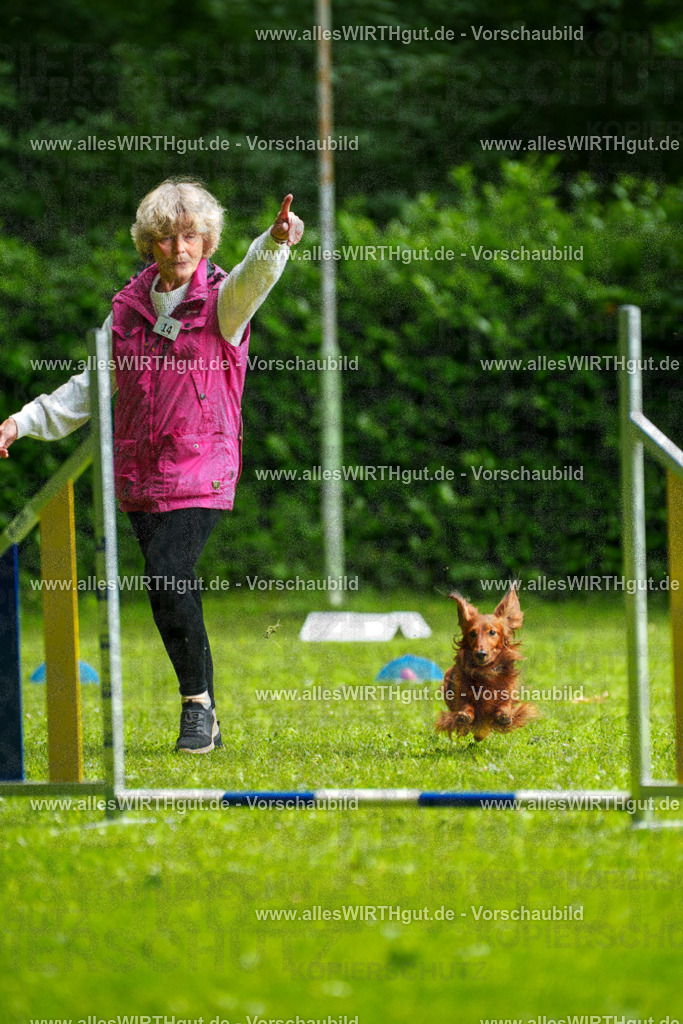 @allesWIRTHgut_Tierfotografie - www.allesWIRTHgut.de - 090729-7R506527 | Professionelle Tierfotografie in Mönchengladbach von Daniel Wirth (allesWIRTHgut). Liebevolle & natürliche Bilder von Hunden & Katzen für unvergessliche Erinnerungen.