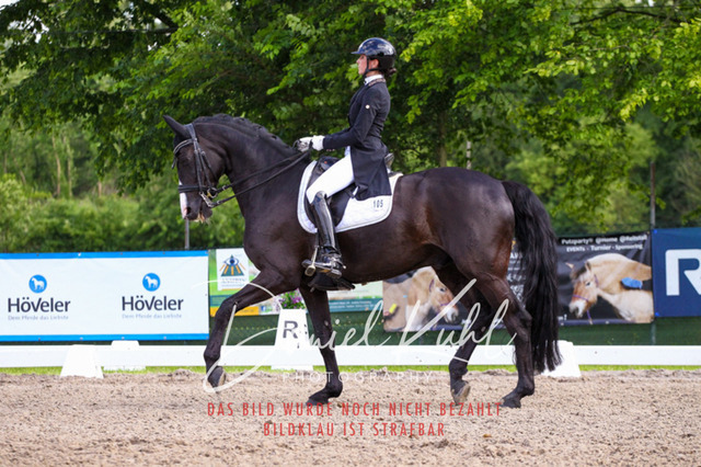 DKP41532 | Deine Turnierfotos vom Reitturnier online kaufen: Dressur, Springen & Siegerehrung. Professionelle Pferdefotografie aus dem Rheinland – als Download & Print.Alternative: Turnierfotograf für den Pferdesport: Finde deine Fotos von Dressur- und Springturnier