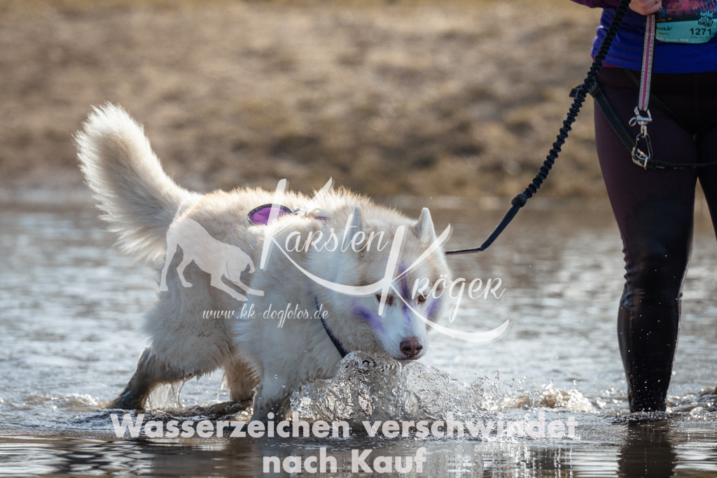 1118_ZZ93680 | kk-dogfotos