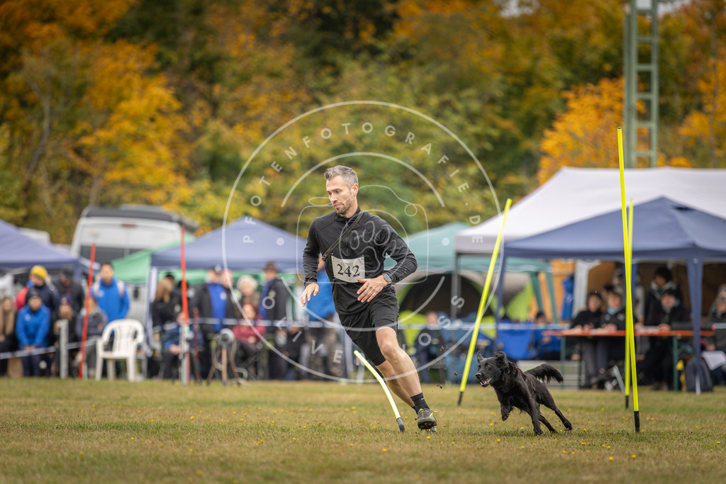 Pfotenfotografie_DV3A5506 | Hundefotografie, Tierfotograf, Pfotenfotografie, Fotoshooting Hund, Hunde Portrait, Hundesport, Hundeportraits, Heideshooting, Hunde, Sportfotograf, Hundefotograf, Turnierhundsport, THS,  - Realisiert mit Pictrs.com