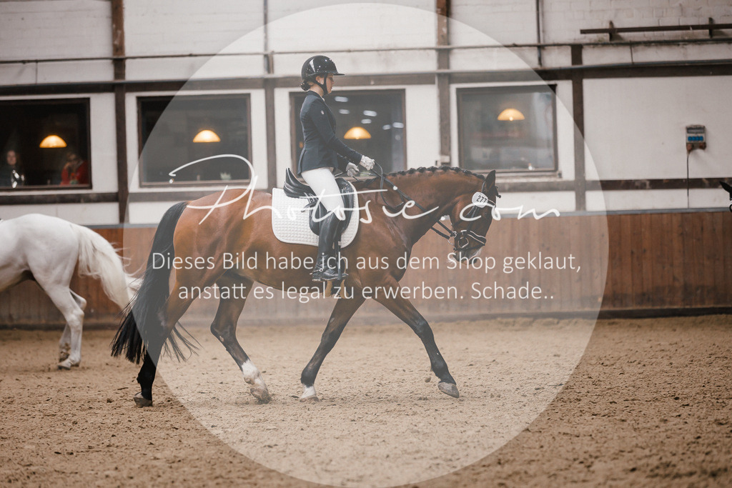 3I6A7332 | Stimmungsvolle Portraits und Reitsportfotografie im Ruhrgebiet und im Münsterland.

Pferdefotografie, Hundefotografie, Tierfotografie, Reportagen, Portraits von Tier und Mensch, Turnierfotografie in Bochum, Recklinghausen, Marl, Haltern am See, Dülmen.. - Realisiert mit Pictrs.com