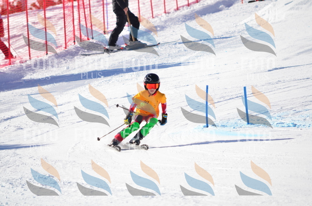 C6242 | holidayphoto