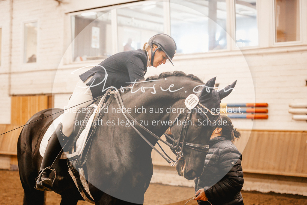 3I6A2109 | Stimmungsvolle Portraits und Reitsportfotografie im Ruhrgebiet und im Münsterland.

Pferdefotografie, Hundefotografie, Tierfotografie, Reportagen, Portraits von Tier und Mensch, Turnierfotografie in Bochum, Recklinghausen, Marl, Haltern am See, Dülmen.. - Realisiert mit Pictrs.com