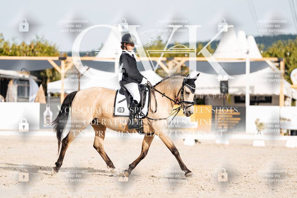 CK904191 | Turnierfotografie Pferdefotografie Trier Rheinland-Pfalz Pferdesport Reitsport Tierfotografie Sportfotografie Pferdevideo Pferdevideografie Equestrianvideography equestrianphotography  - Realisiert mit Pictrs.com
