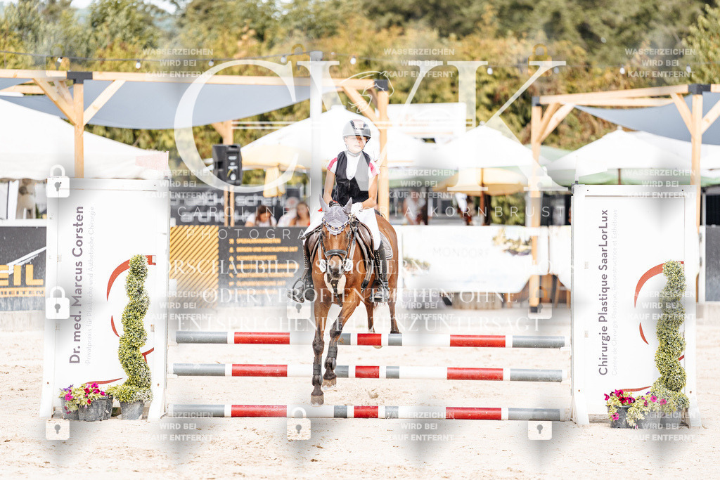 CK906426 | Turnierfotografie Pferdefotografie Trier Rheinland-Pfalz Pferdesport Reitsport Tierfotografie Sportfotografie Pferdevideo Pferdevideografie Equestrianvideography equestrianphotography  - Realisiert mit Pictrs.com