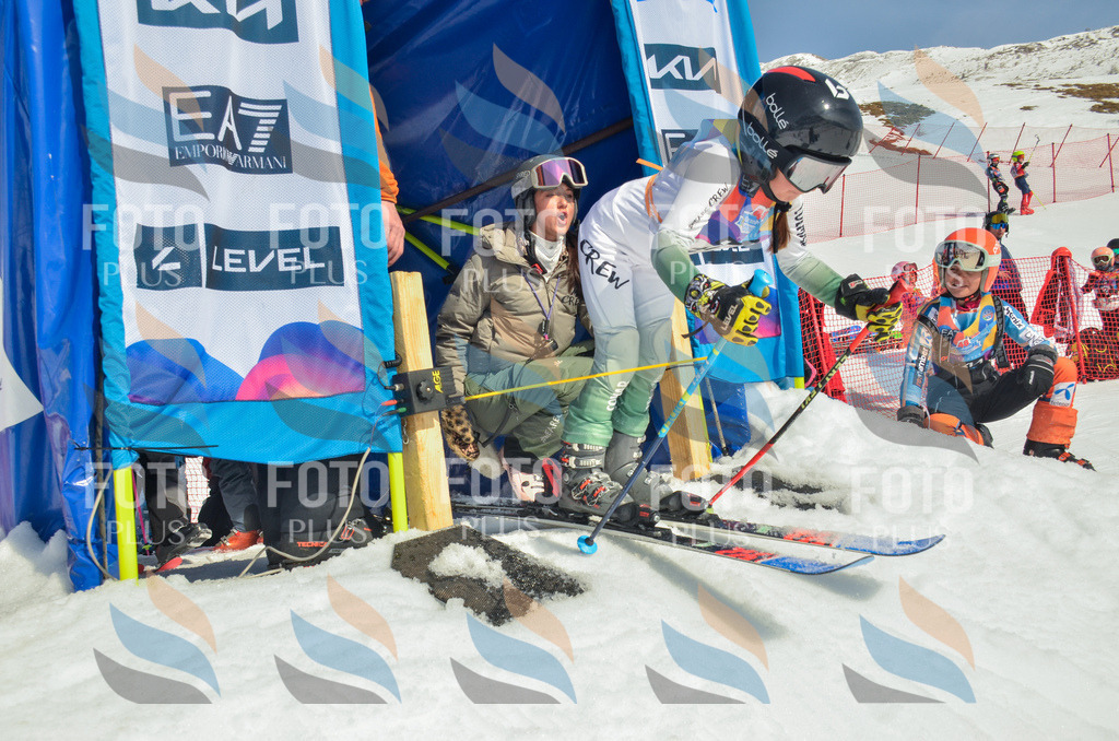 _ELE5144 | holidayphoto