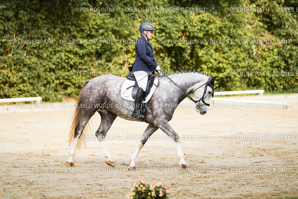 DSC01609 | Pferdegrafie