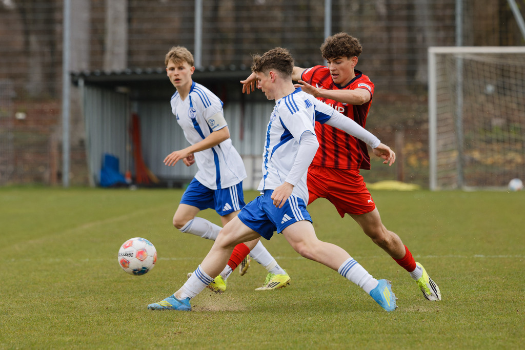 20260412-FCHS04_020 | 1.FC Heidenheim 1846 vs. FC Schalke 04, Fußball, U19, A-Junioren, NWL, U19-DFB-Nachwusliga, 2025/2026, 8. Spieltag, 12.04.2026 in Heidenheim, Walter-Birkhold-Jugendstadion (Foto: Michael Bulling) - Realisiert mit Pictrs.com