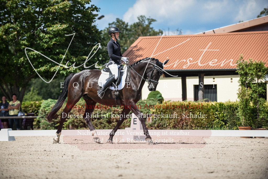 DSC_9055 | Pferde- und Turnierfotografie in Westsachsen. Pferdeportraits, Auftragszeichnungen und intuitive Kunst.