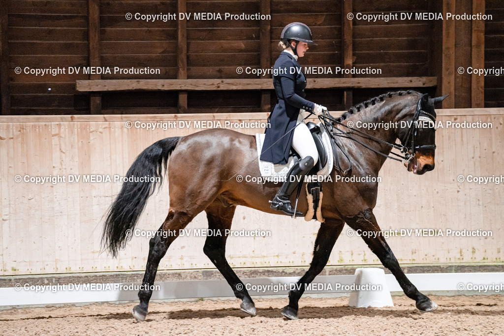 Dressur Tag 2-660 | dv-media-shop - Realisiert mit Pictrs.com