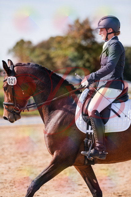 2026_10_03_Siefer-Hof_125229_Z81_41896330 | Professionelle Reitsport-, Turnier- und Eventfotografie von Robert Broda. Galerien mit ausgewählten und bearbeiteten Bildern direkt online ansehen und bestellen.