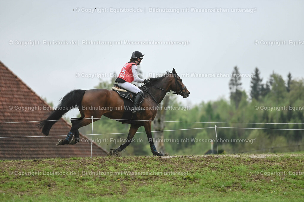 20230513_CCI2_Section1_0179 | equistock