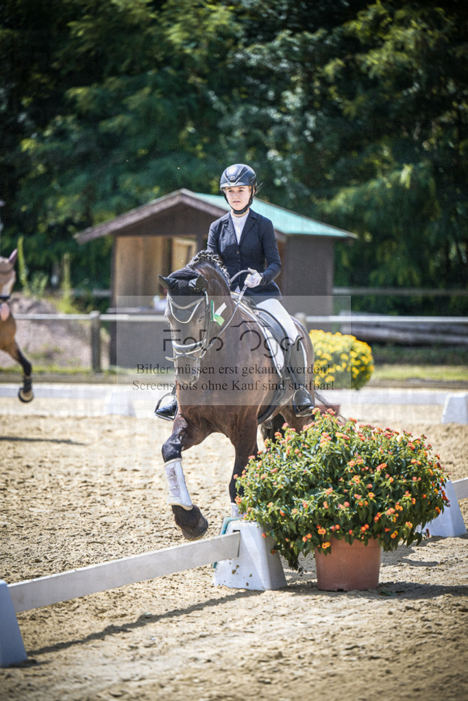 DOS_3688 | Entdecke hochwertige Reitturnierfotos von Foto Oger. Professionell, emotional und authentisch – jetzt Lieblingsmomente im Shop bestellen.Deutschlandweite Turnierfotografie. - Realisiert mit Pictrs.com
