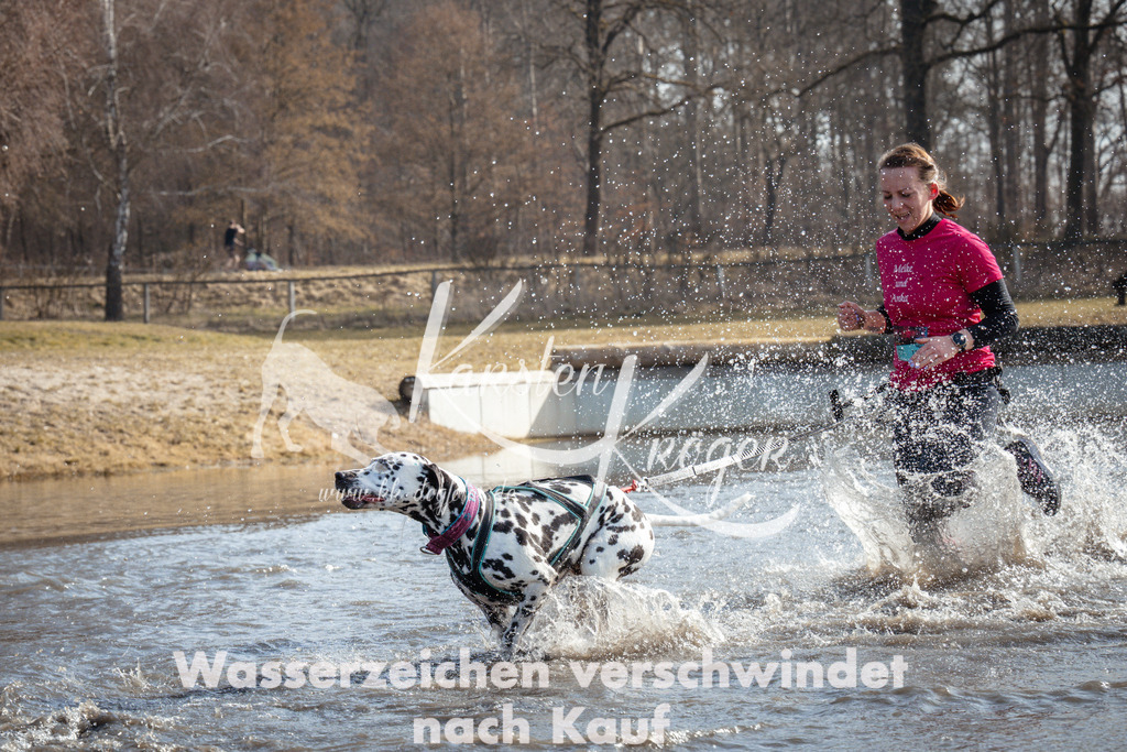 1113_ZZ93233 | kk-dogfotos