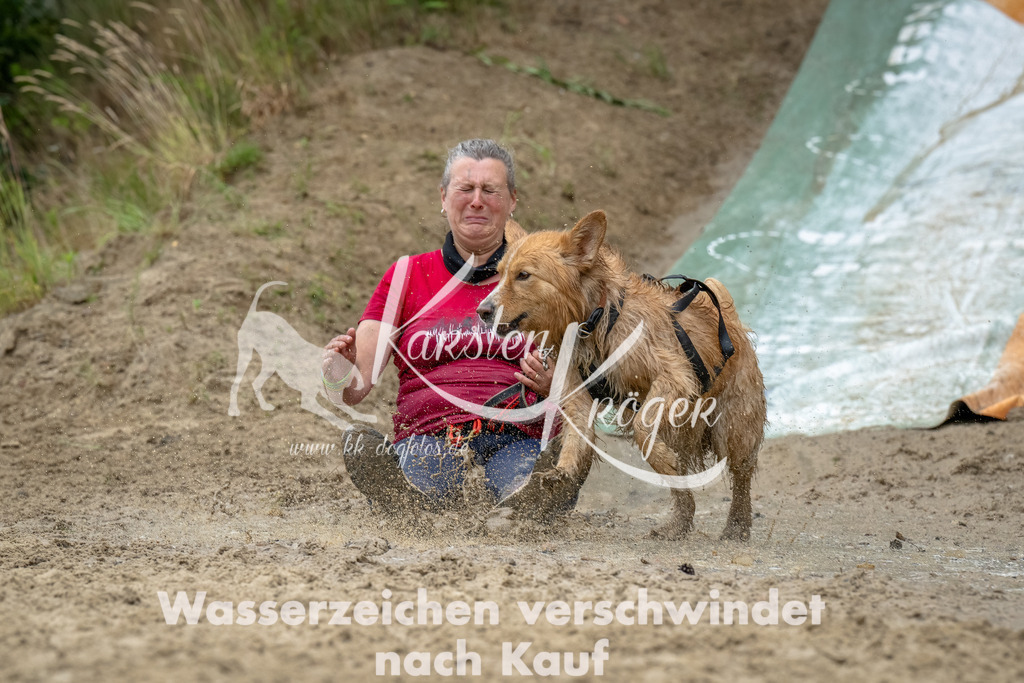 1254_ZZ91079-Bearbeitet | kk-dogfotos
